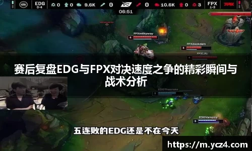奇异果wygvip