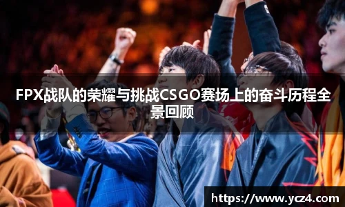 奇异果wygvip
