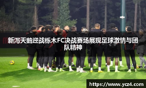 奇异果qyg网页版