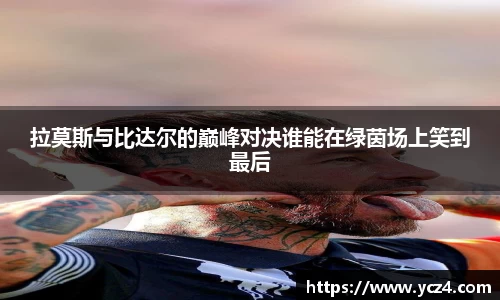 奇异果wygvip